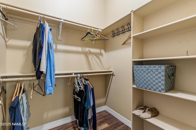 walk in closet featuring wood finished floors