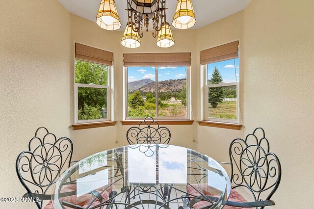 5005 Camino De Los Vientos, Flagstaff, AZ 86004 - photo 8