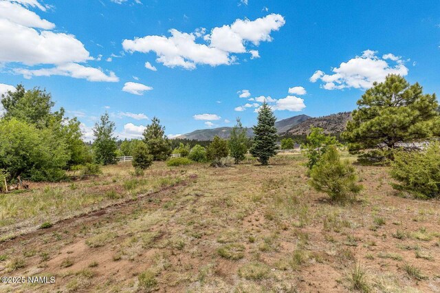 5005 Camino De Los Vientos, Flagstaff, AZ 86004 - photo 25