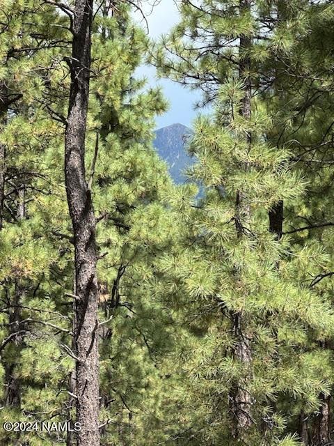 Listing photo 2 for 3101 W Sacred Mountain Rd Lot 1, Flagstaff AZ 86001