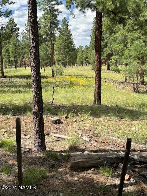 3101 W Sacred Mountain Rd Lot 1, Flagstaff AZ, 86001 land for sale