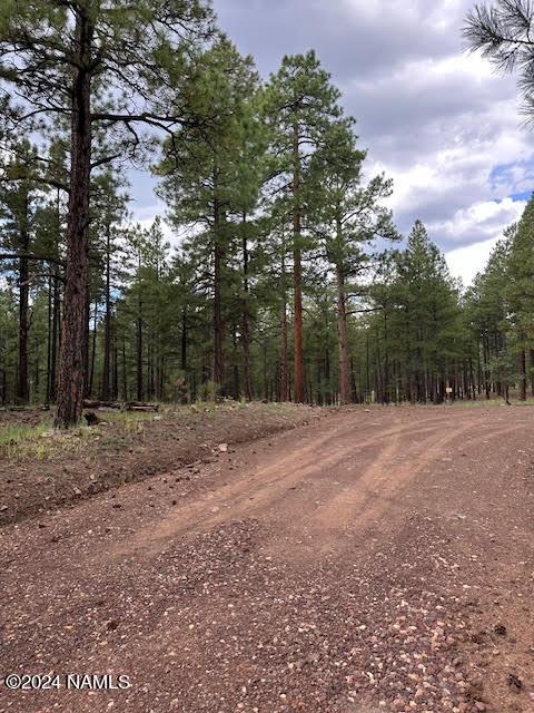 3101 W Sacred Mountain Rd Lot 1, Flagstaff, AZ 86001 - photo 6
