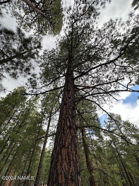 3101 W Sacred Mountain Rd Lot 1, Flagstaff, AZ 86001 - photo 4