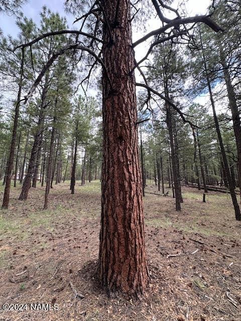 Listing photo 3 for 3101 W Sacred Mountain Rd Lot 1, Flagstaff AZ 86001