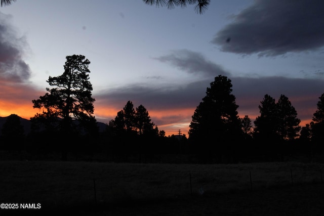 8441 N Fleming Dr, Flagstaff, AZ 86004 - photo 32