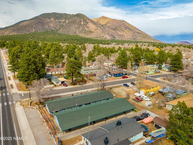 2420 N W St, Flagstaff, AZ 86004 - photo 9