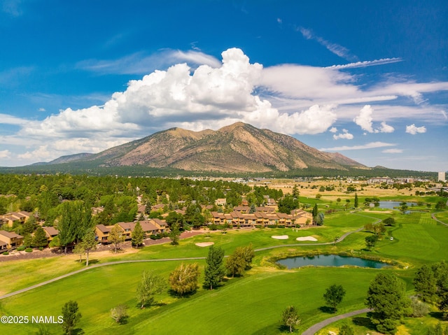 2201 N Rio De Flag Dr, Flagstaff, AZ 86004 - view of mountain backdrop with nearby suburban area and a nearby body of water