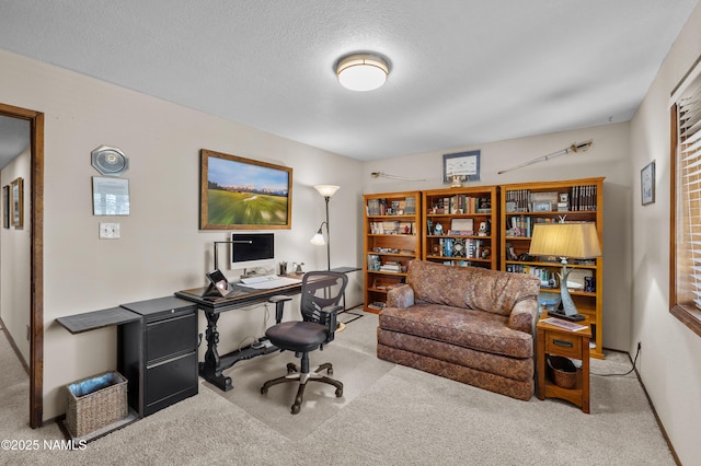2201 N Rio De Flag Dr, Flagstaff, AZ 86004 - carpeted office featuring a textured ceiling and baseboards