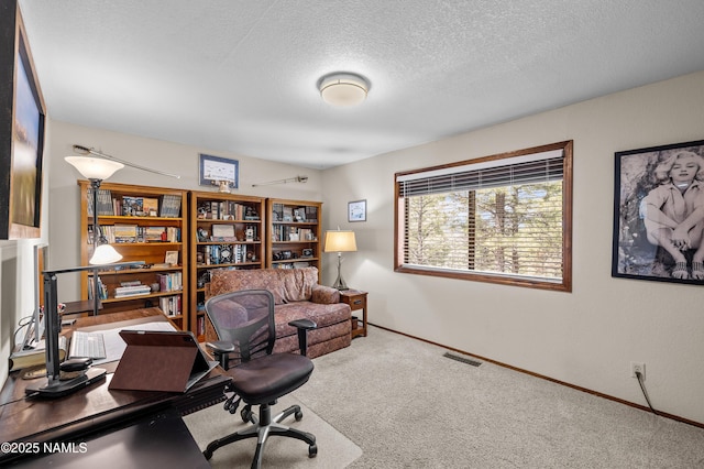 2201 N Rio De Flag Dr, Flagstaff, AZ 86004 - office space with carpet and a textured ceiling