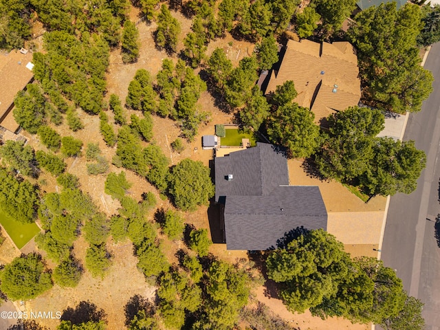 2201 N Rio De Flag Dr, Flagstaff, AZ 86004 - drone / aerial view