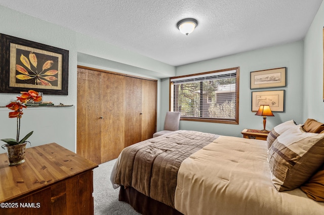 2201 N Rio De Flag Dr, Flagstaff, AZ 86004 - bedroom with a textured ceiling, carpet flooring, and a closet