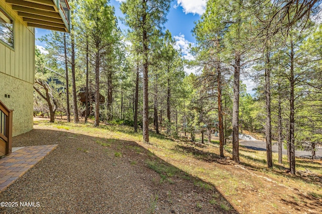 2201 N Rio De Flag Dr, Flagstaff, AZ 86004 - view of yard