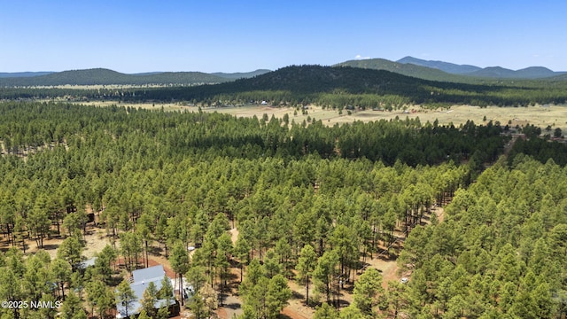 7446 E Knighthood Ln, Williams, AZ 86046 - photo 35