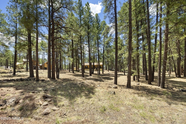 7446 E Knighthood Ln, Williams, AZ 86046 - photo 28
