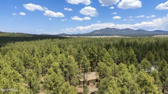 7446 E Knighthood Ln, Williams, AZ 86046 - photo 34