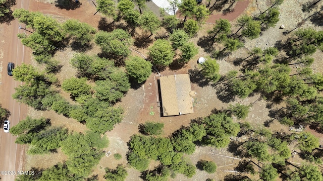 7446 E Knighthood Ln, Williams, AZ 86046 - photo 31