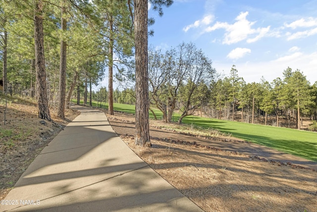 4560 S Saddle Horn, Flagstaff, AZ 86005 - photo 66