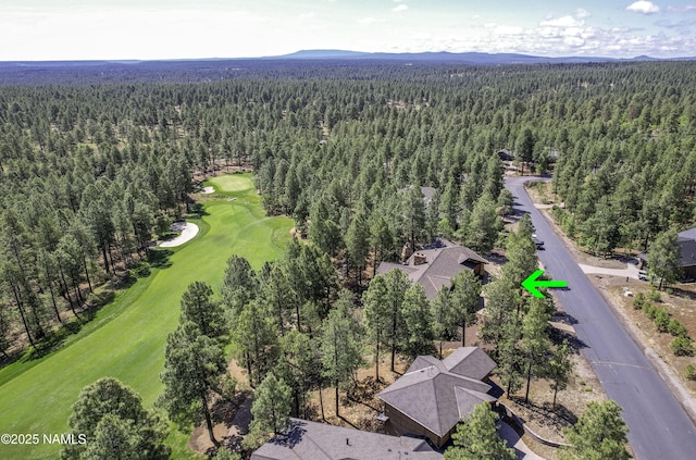 4560 S Saddle Horn, Flagstaff, AZ 86005 - photo 55