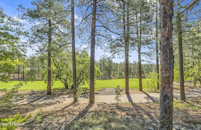 4560 S Saddle Horn, Flagstaff, AZ 86005 - photo 65
