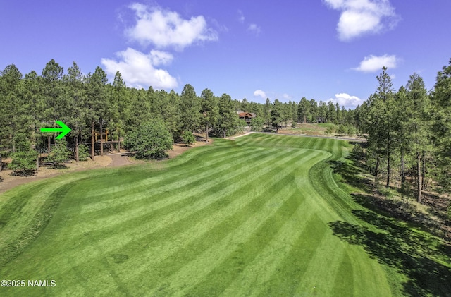 4560 S Saddle Horn, Flagstaff, AZ 86005 - photo 59