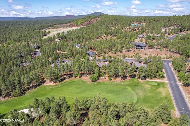 4560 S Saddle Horn, Flagstaff, AZ 86005 - photo 60