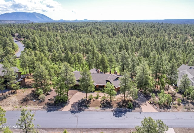 4560 S Saddle Horn, Flagstaff, AZ 86005 - photo 54
