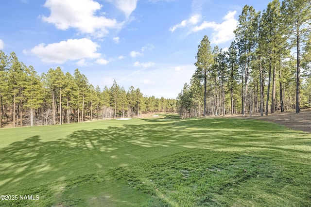 4560 S Saddle Horn, Flagstaff, AZ 86005 - photo 67
