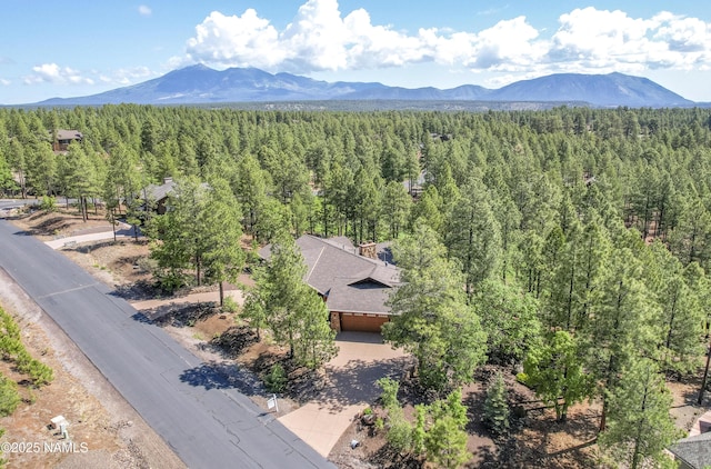 4560 S Saddle Horn, Flagstaff, AZ 86005 - photo 2