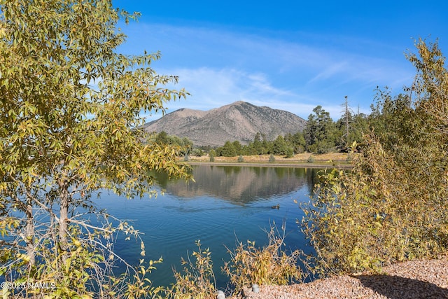 6030 E Laurel Loop, Flagstaff, AZ 86004 - photo 6