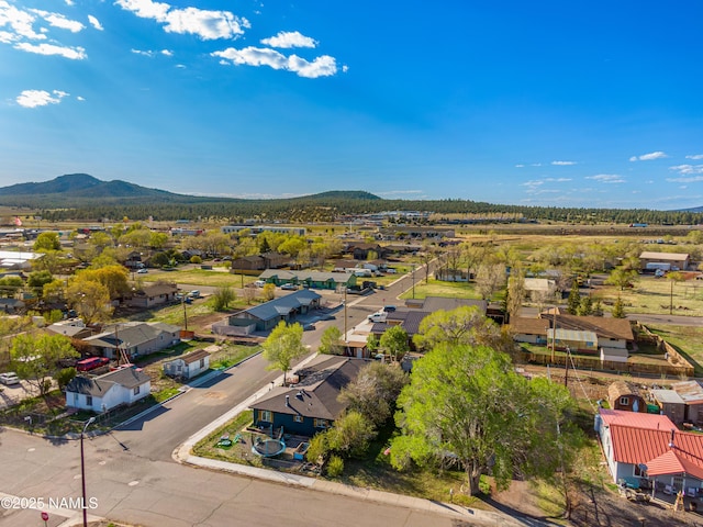 502 N Humbolt St, Williams, AZ 86046 - aerial view of residential area featuring a mountain backdrop