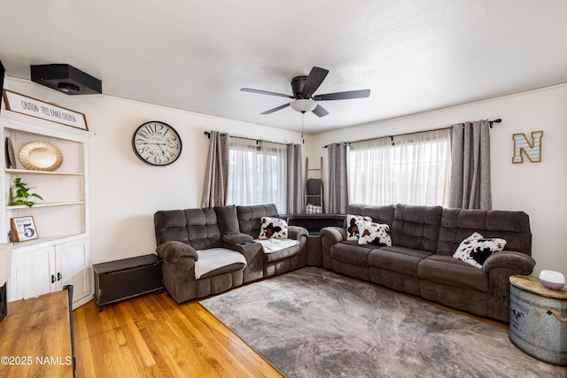 502 N Humbolt St, Williams, AZ 86046 - living room with light wood finished floors and ceiling fan