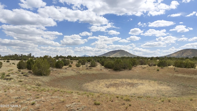 TBD N Pine St, Williams, AZ 86046 - photo 16