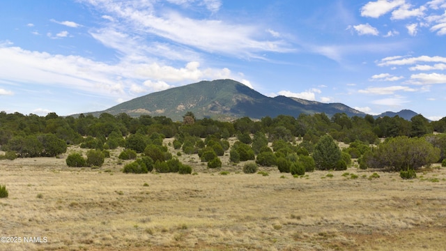 TBD N Pine St, Williams, AZ 86046 - photo 10