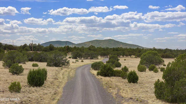 TBD N Pine St, Williams, AZ 86046 - photo 9