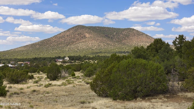TBD N Pine St, Williams, AZ 86046 - photo 11