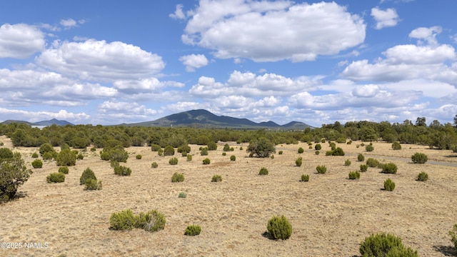 TBD N Pine St, Williams, AZ 86046 - photo 13
