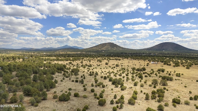 TBD N Pine St, Williams, AZ 86046 - photo 15