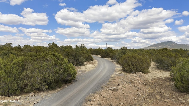 TBD N Pine St, Williams, AZ 86046 - photo 17
