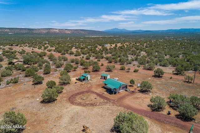 bird's eye view featuring a mountain view