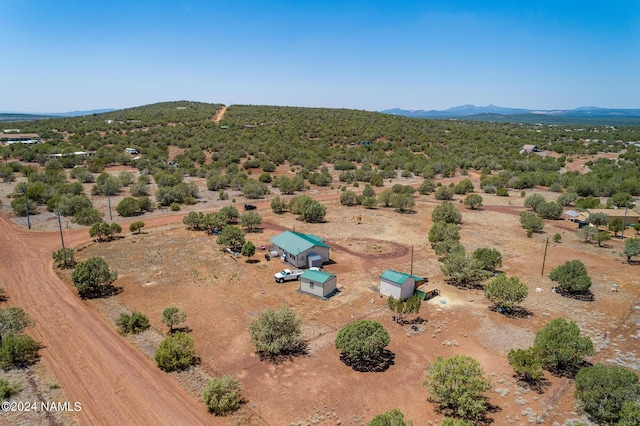 aerial view with a mountain view