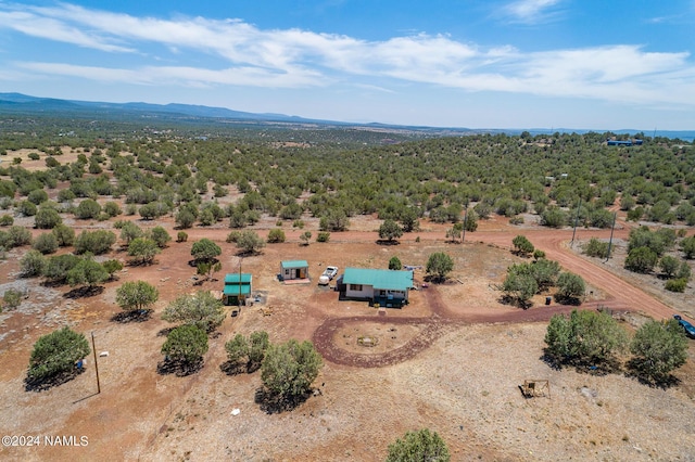 drone / aerial view featuring a mountain view