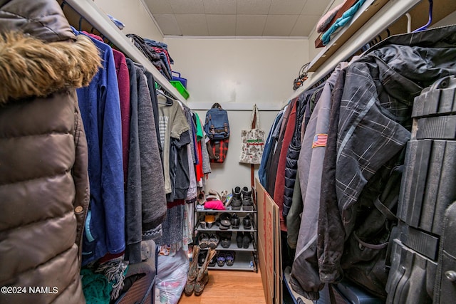 spacious closet featuring wood-type flooring