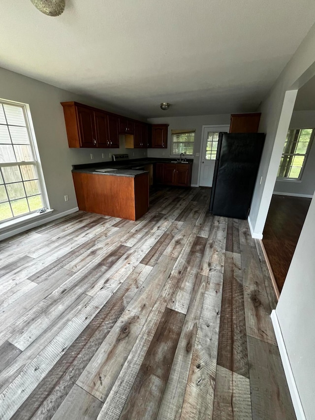 kitchen featuring plenty of natural light, sink, and light hardwood / wood-style flooring