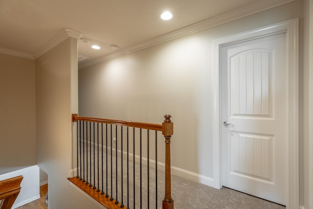 corridor featuring crown molding and carpet floors