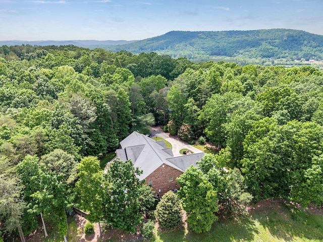 birds eye view of property featuring a mountain view