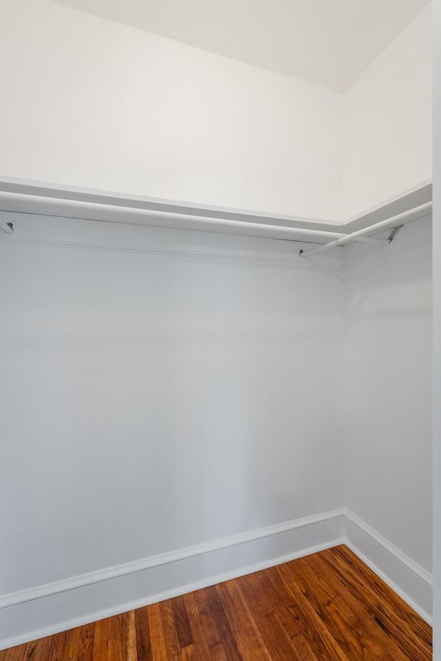 spacious closet with wood-type flooring