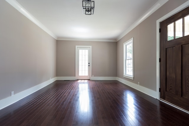 foyer entrance featuring dark wood-type flooring, a wealth of natural light, and ornamental molding