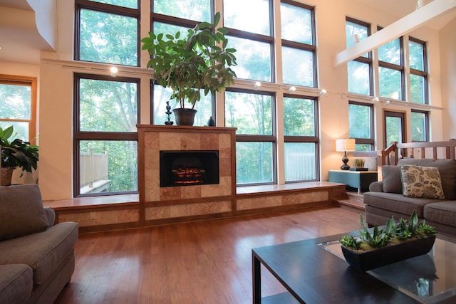 living room with a high ceiling, a wealth of natural light, hardwood / wood-style floors, and a fireplace