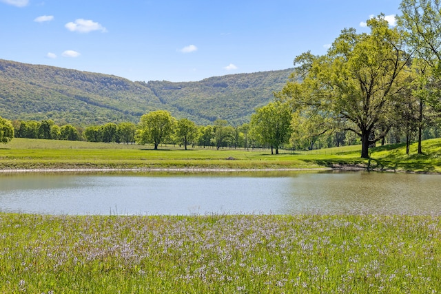 water view with a mountain view