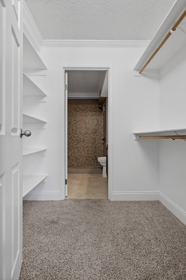 spacious closet featuring light carpet